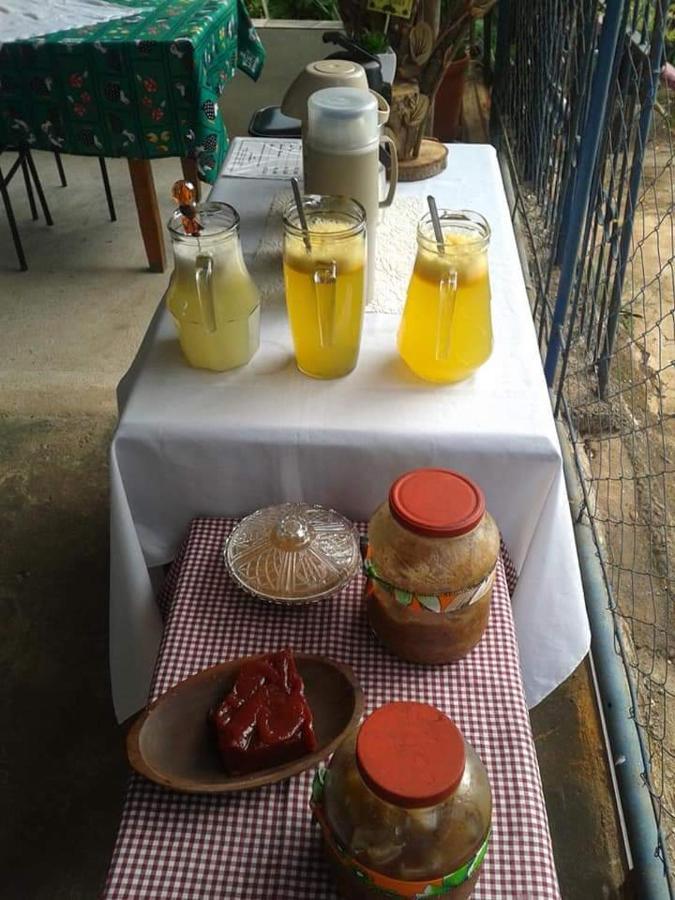 Manaca Da Serra *