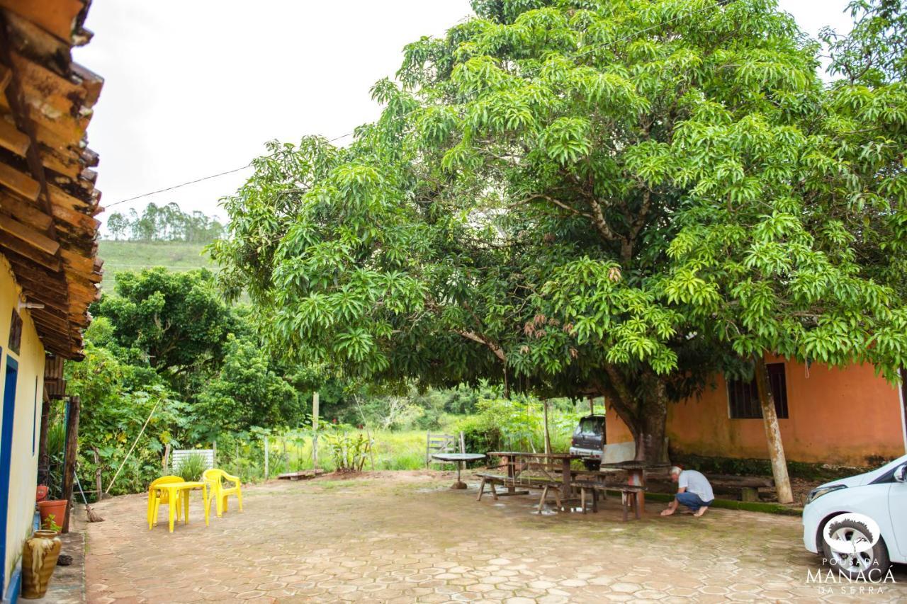 Manacá Da Serra *