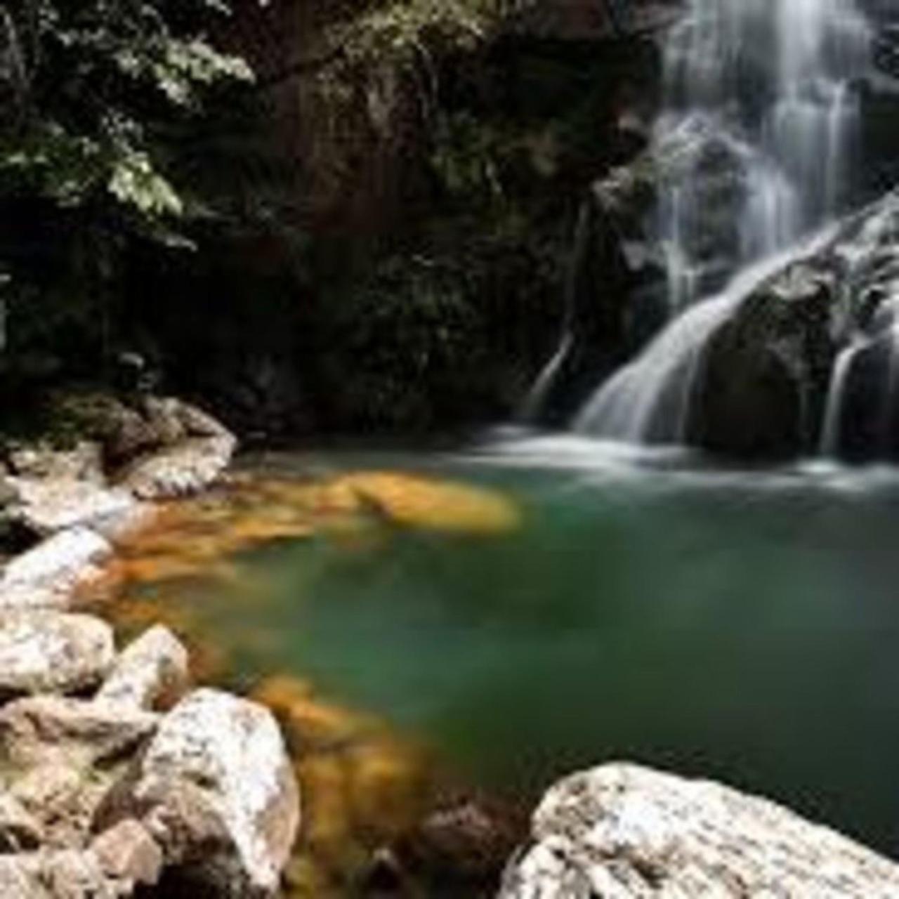 Manaca Da Serra Inn *